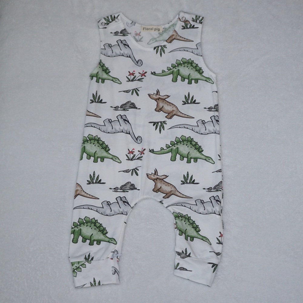Floral Pig Dinosaur  Boys Outfit Size 100 or 2/3T